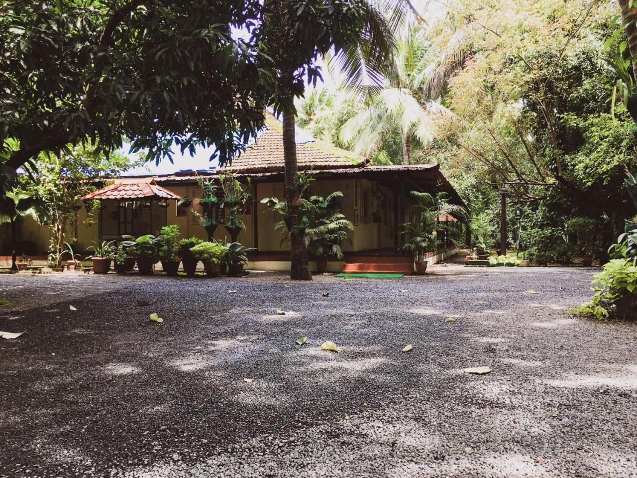 棕榈树林服务式别墅酒店 Kochi 外观 照片